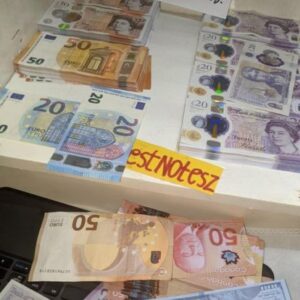 Counterfeit Euro banknotes provided by the Bundesbank Dortmund