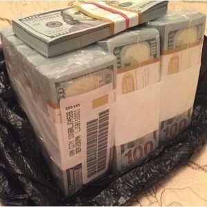 counterfeit money delivery in Botswana